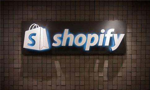 Shopify店是选择做细分垂直类还是综合杂货店图1